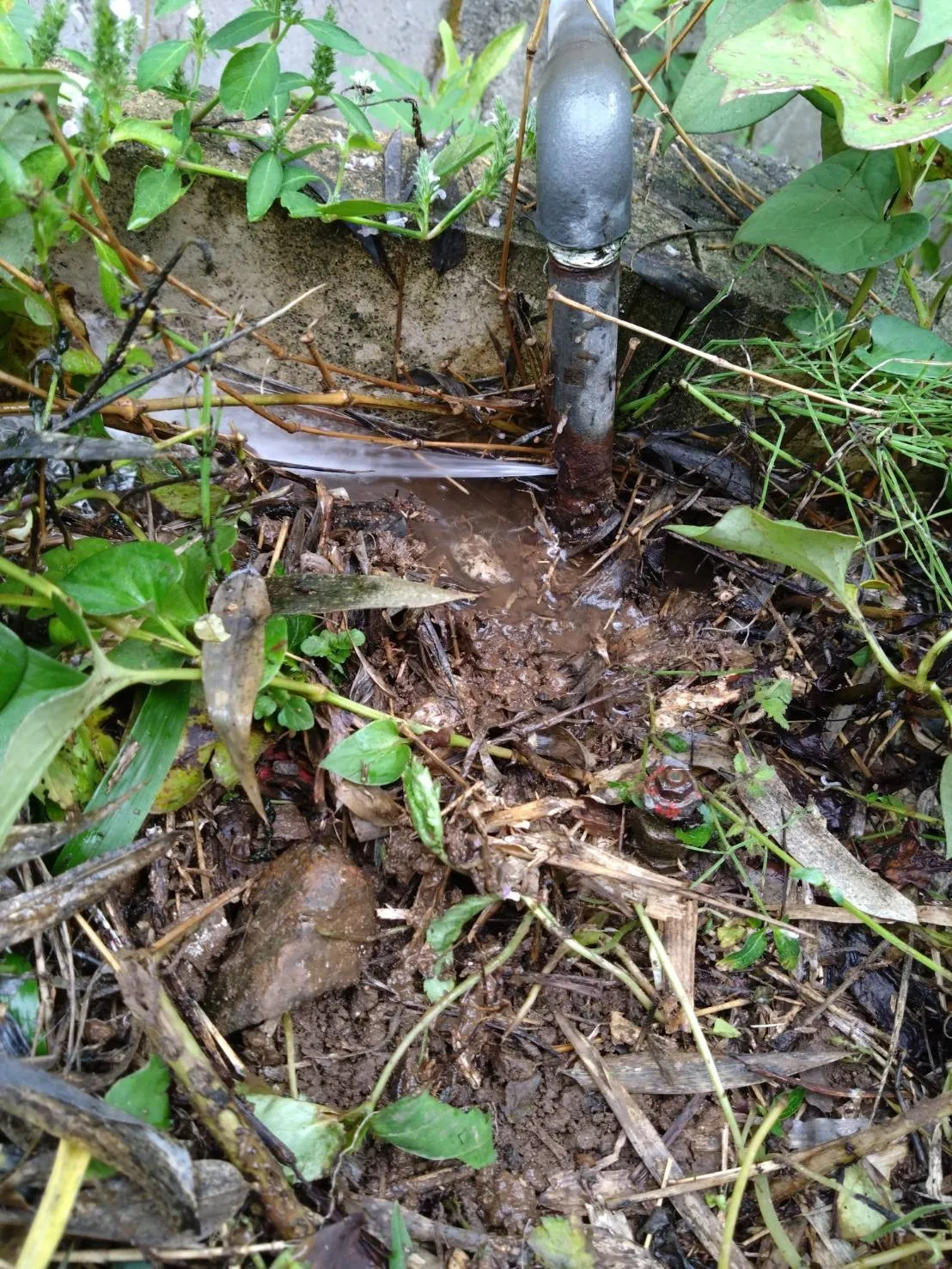 長浜市　漏水調査/修理